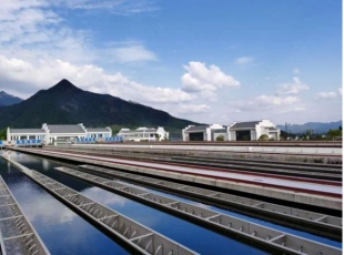 佰利乐·(中国区)有限公司官网